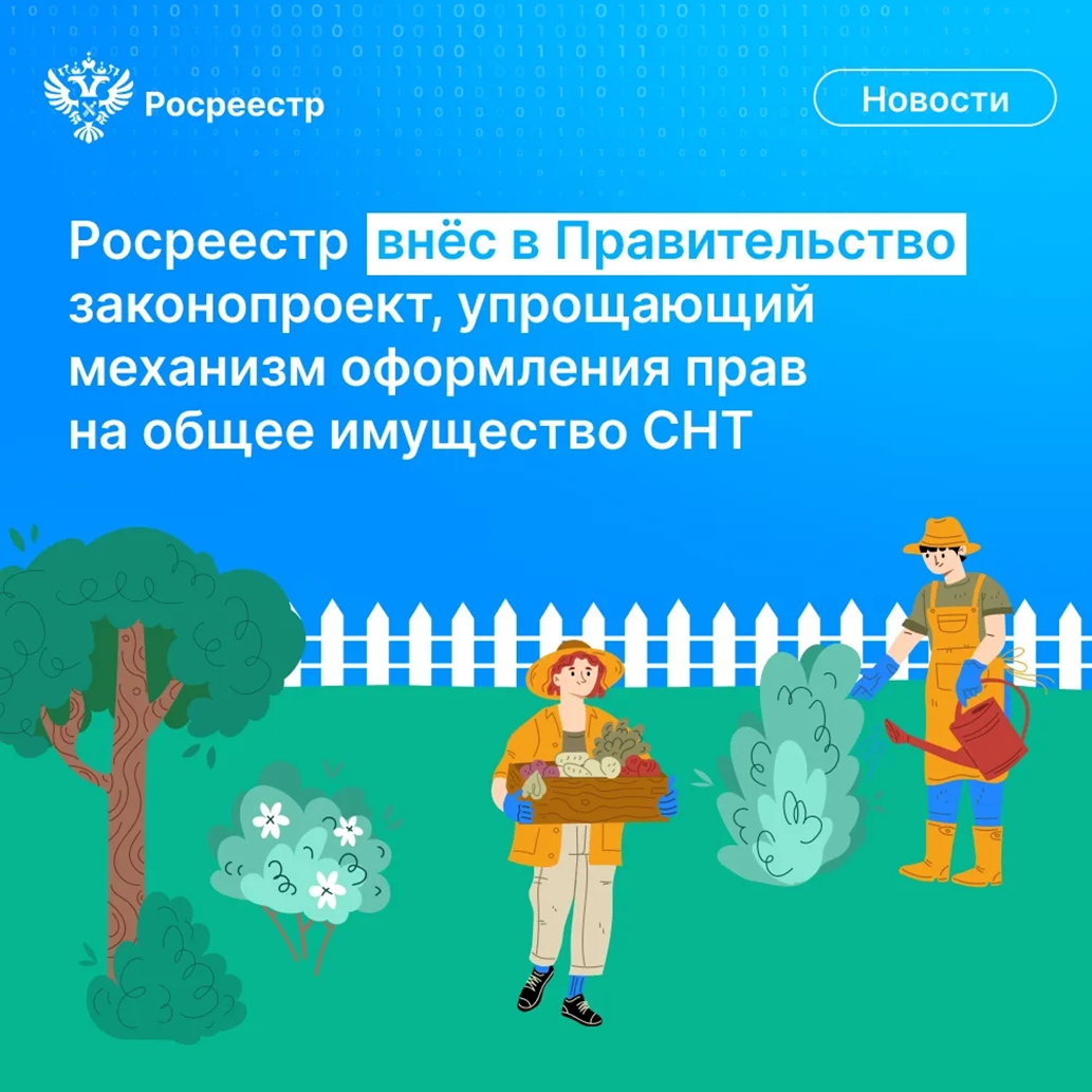 Информация для дачников и садоводов.